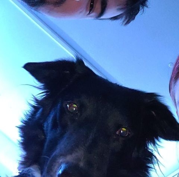 Meet your Posher, Sarah - Picture 1 of 1